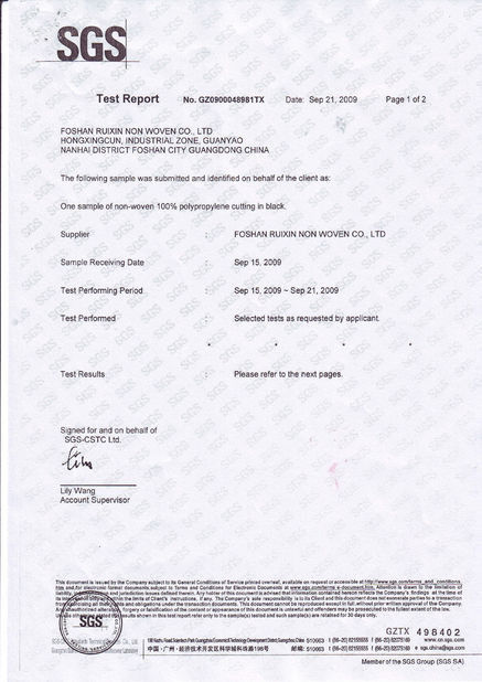 Chine Foshan Rayson Global CO., Ltd Certifications